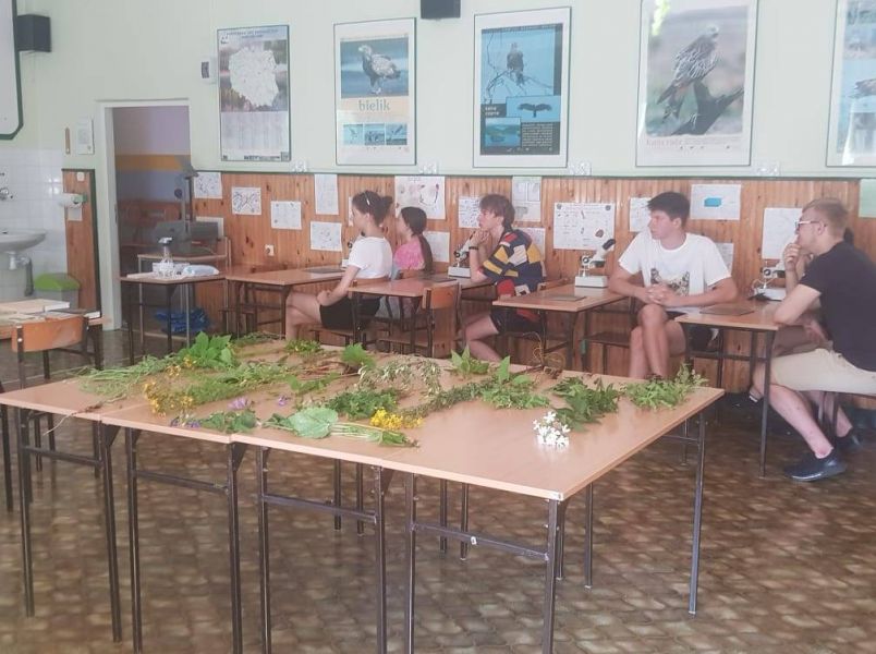 213103294_498162061269887_5182648484260427709_n