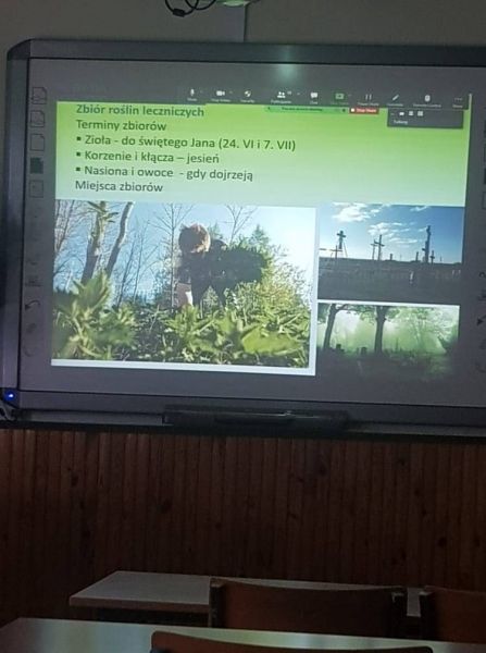 214061820_568566640977110_7129917126955818818_n