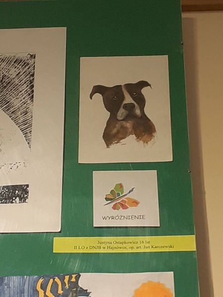 thumbnail_20230519_175627