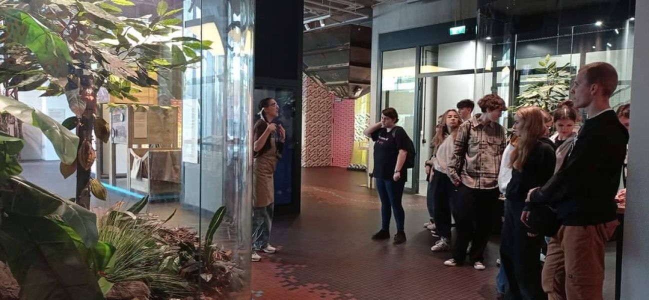 thumbnail_1000016607