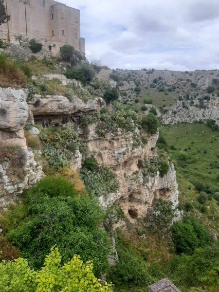 494222097_1277542344374466_1575011465977550219_n