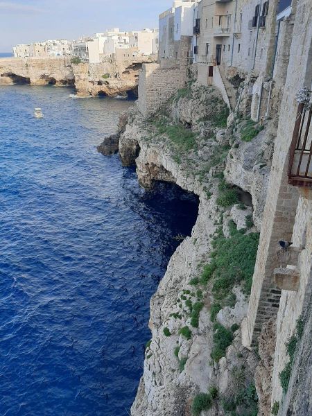 499239834_1277542541041113_1136785954085321461_n