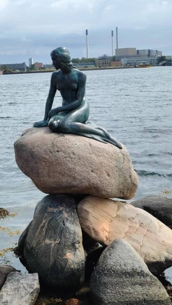 508133612_1302358061892894_2140299413850736479_n