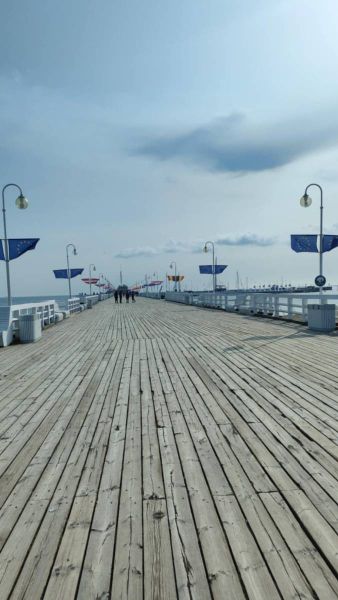 508231323_1302356988559668_9119308892992177351_n