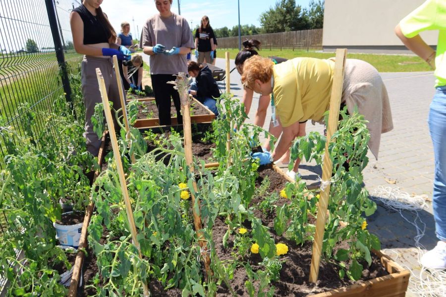 500735593_690570590597234_8769267228294062184_n