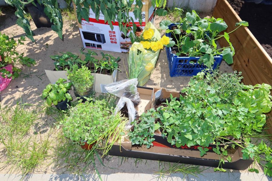 500828591_690570193930607_3099255822972112901_n