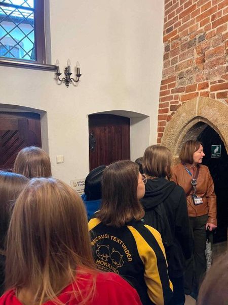 Image-000003