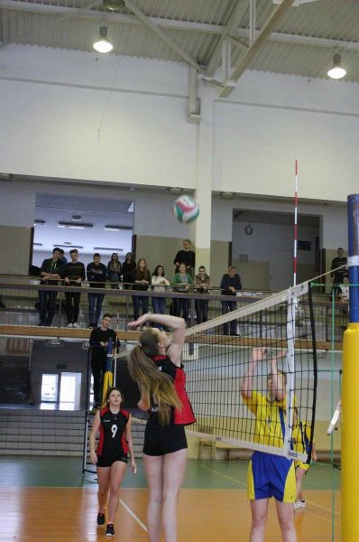 27485129_575085732840695_73422040_o